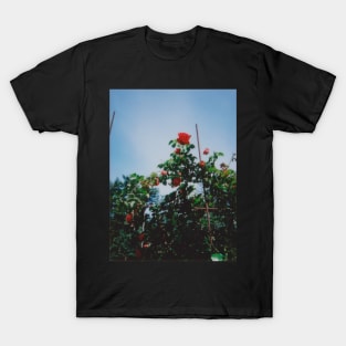 red rose instax T-Shirt